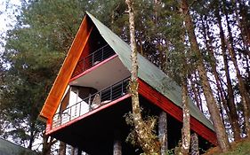 Cabañas El Rincón de Pancho